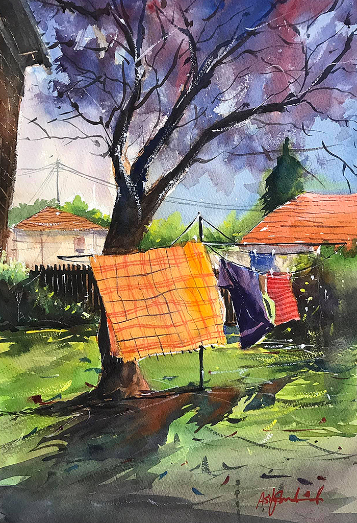 backyard
